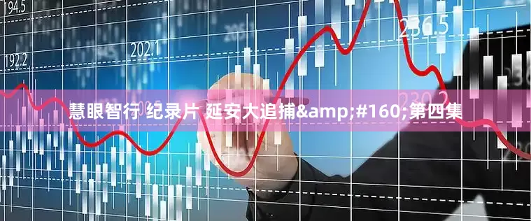 慧眼智行 纪录片 延安大追捕&#160;第四集