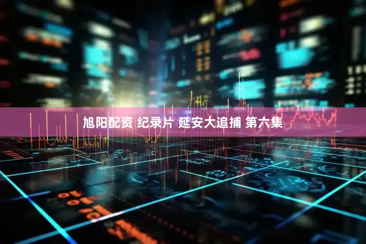 旭阳配资 纪录片 延安大追捕 第六集