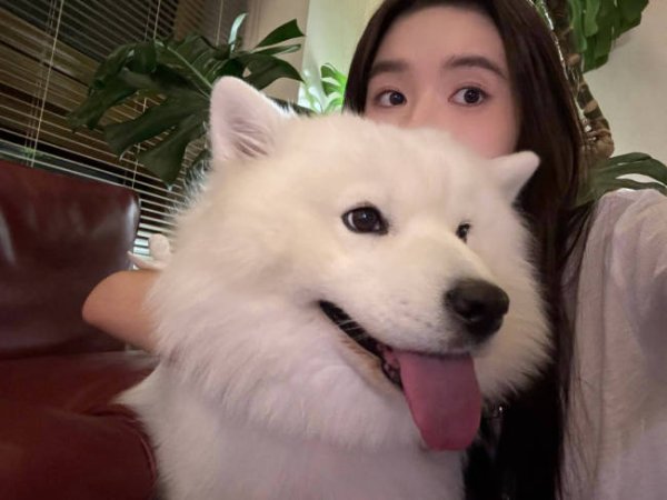 聚点股 王玉雯更新生活随拍 与雪白大狗自拍合影状态惬意