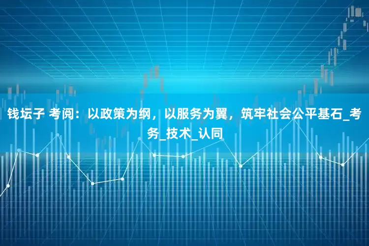 钱坛子 考阅：以政策为纲，以服务为翼，筑牢社会公平基石_考务_技术_认同