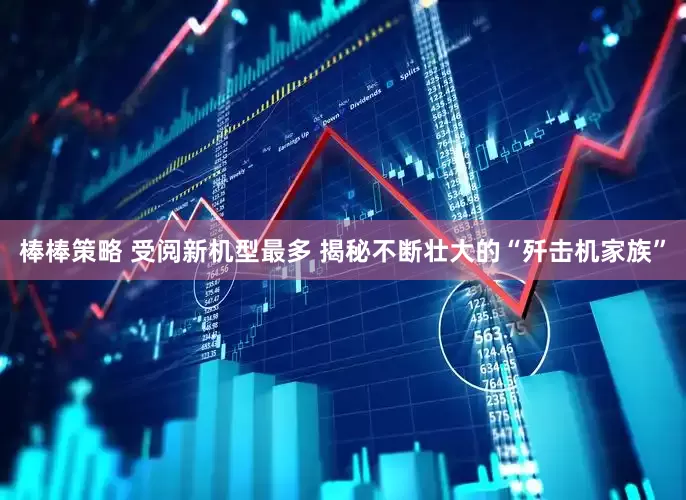 棒棒策略 受阅新机型最多 揭秘不断壮大的“歼击机家族”