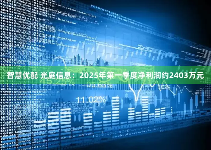 智慧优配 光庭信息：2025年第一季度净利润约2403万元
